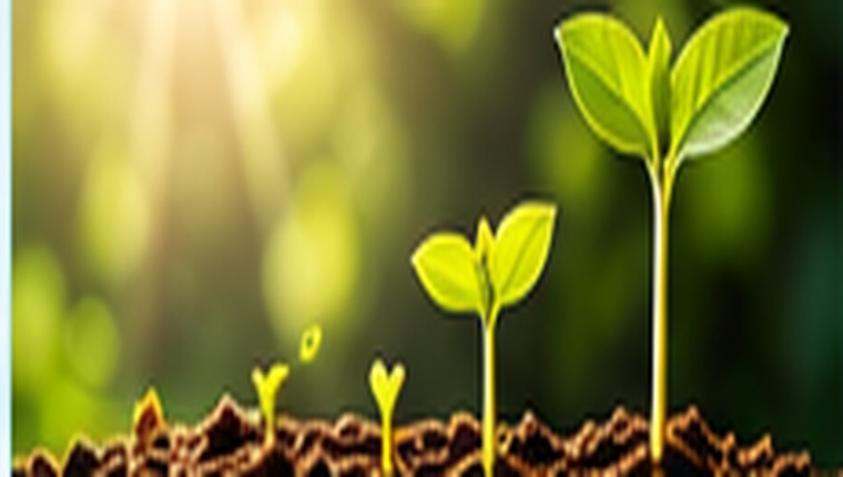 Growing plants representing future learning
